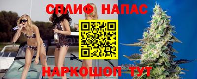 дживик Дубна