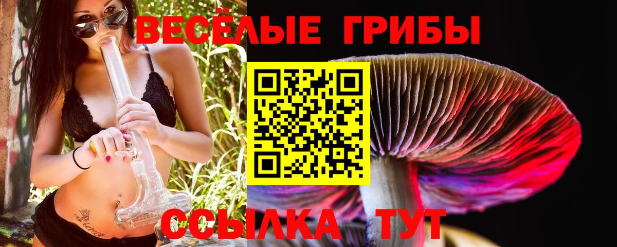 Галлюциногенные грибы MAGIC MUSHROOMS Новоалександровск