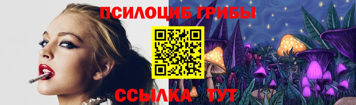Новоалександровск  Псилоцибиновые грибы Psilocybine cubensis  Вход с VPN 